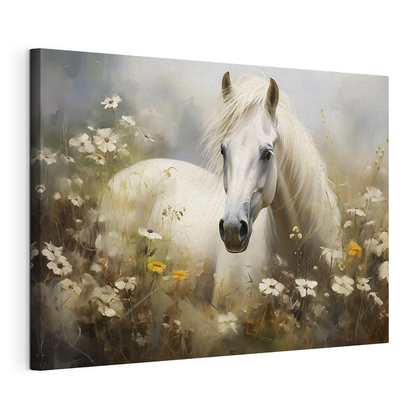 Wandbilder Weißes Pferd in einem Blumenfeld