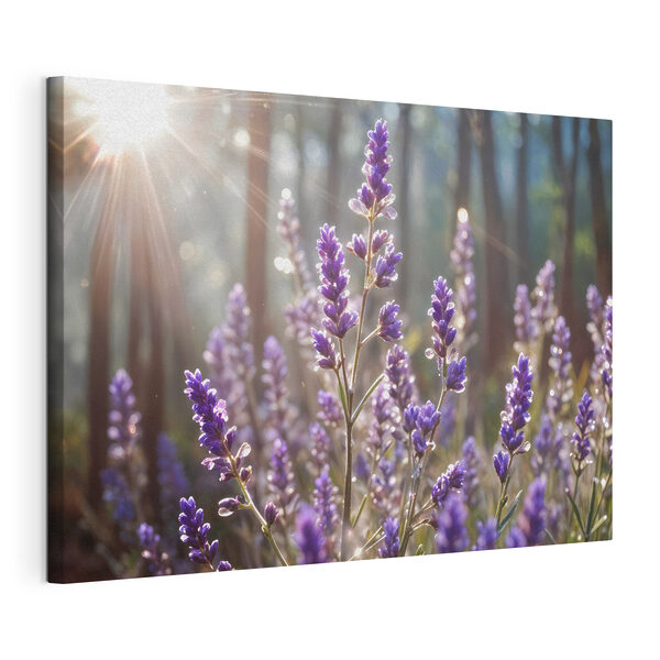 Wandbilder Nahaufnahme von violetten Blumen