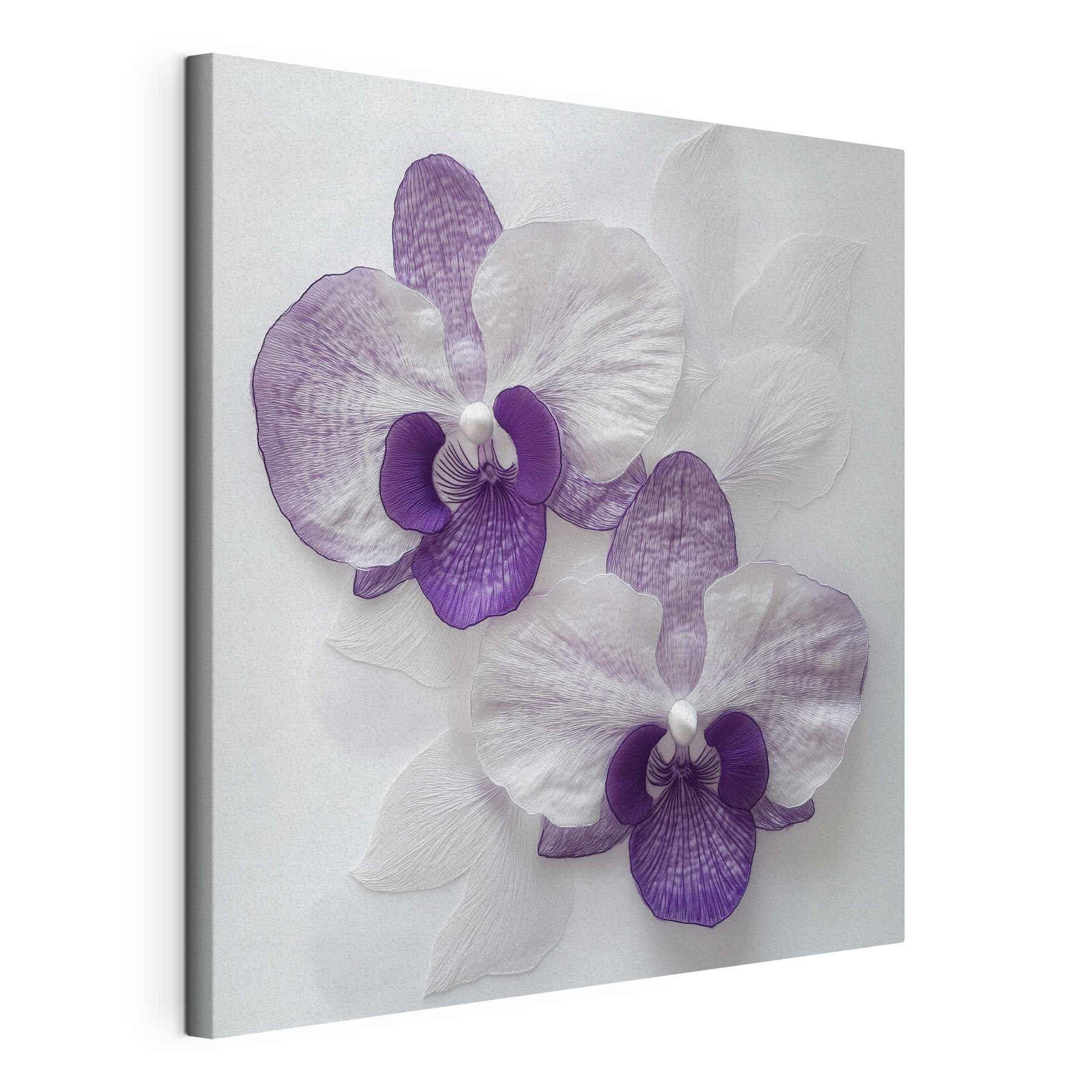 Purple and white flowers on a white surface Purple and white flowers on a white surface