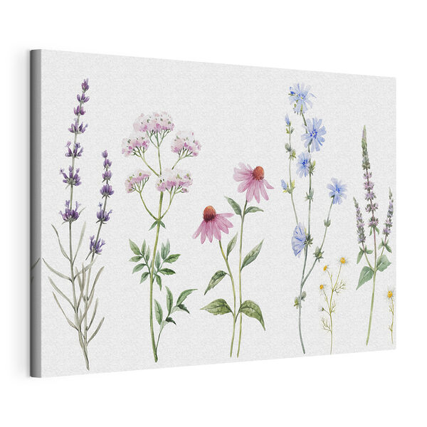 Group of flowers on a white background Group of flowers on a white background