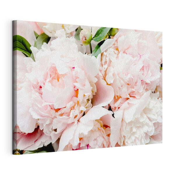 Eine Gruppe von rosa Blumen Wandbilder Eine Gruppe von rosa Blumen