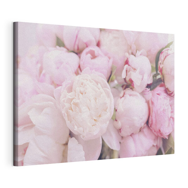 Wandbilder Eine Gruppe von rosa Blumen (Artikelnummer: s35244) Wandbilder Wandbilder Eine Gruppe von rosa Blumen (Artikelnummer: s35244)