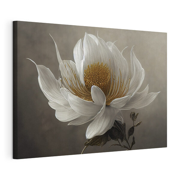 Wandbilder Eine weiße Blume mit gelber Mitte