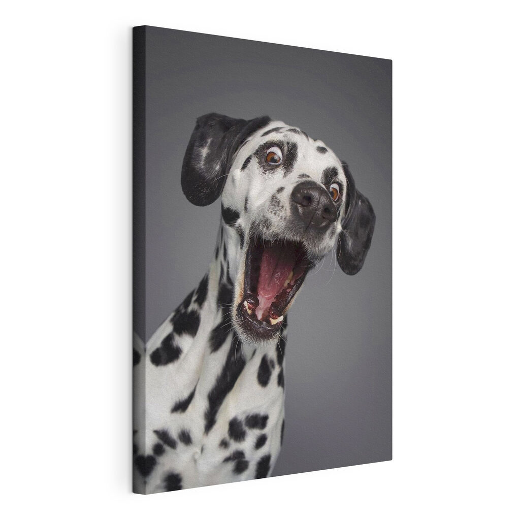 A dog with its mouth open