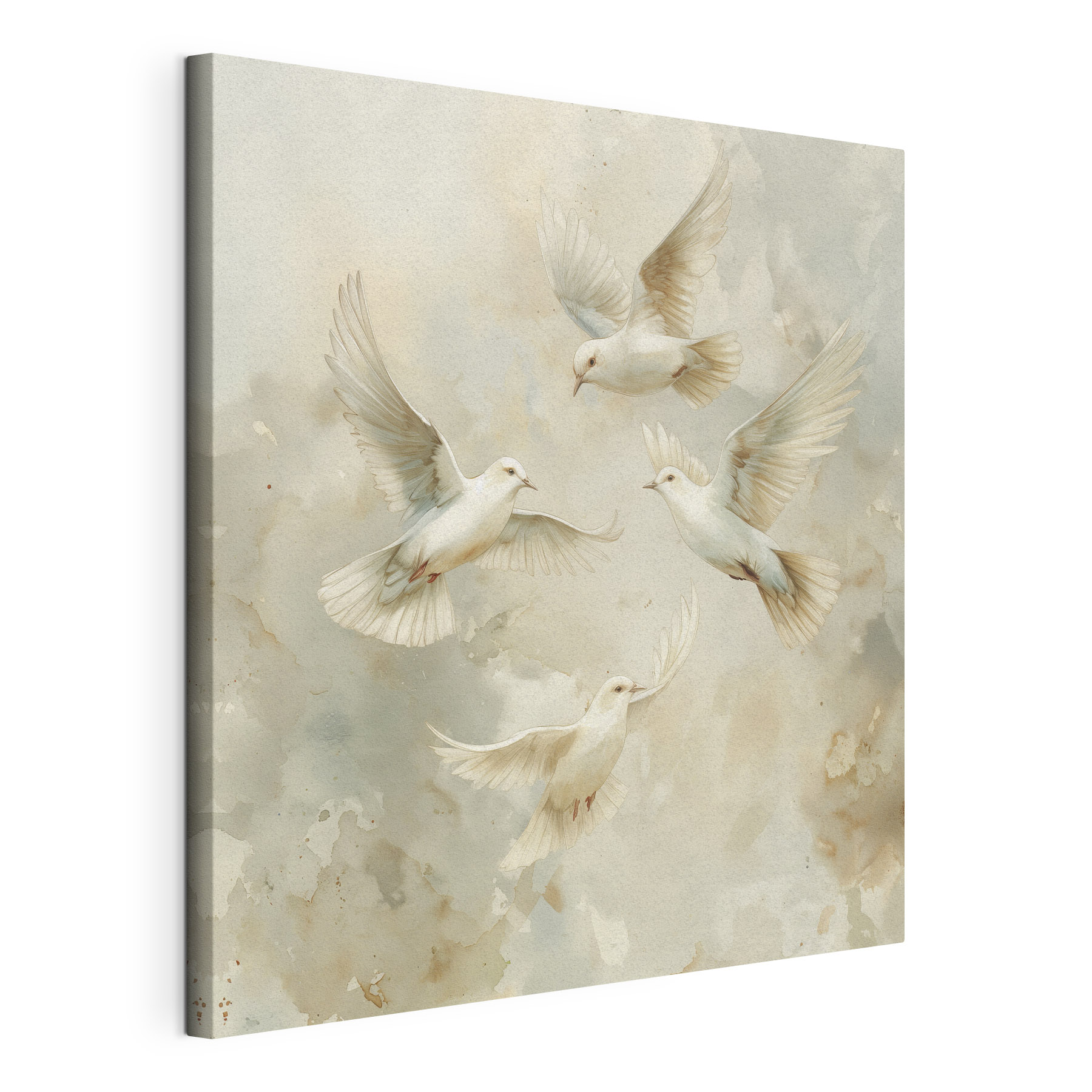 Group of white birds flying in the sky Group of white birds flying in the sky