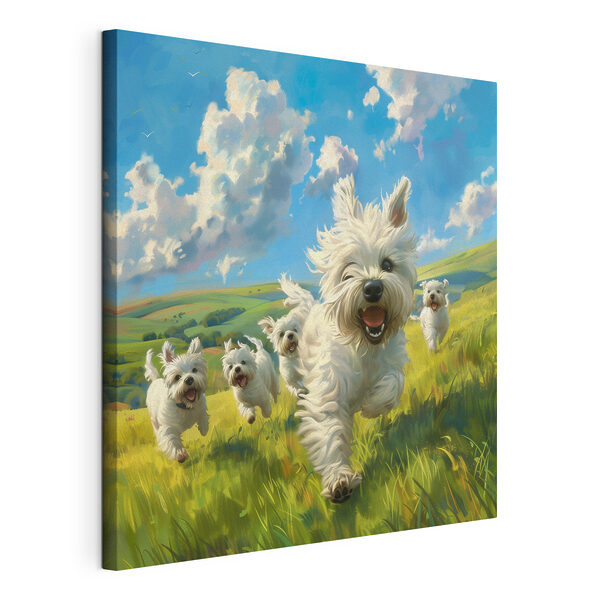 Group of white dogs running in a field Group of white dogs running in a field