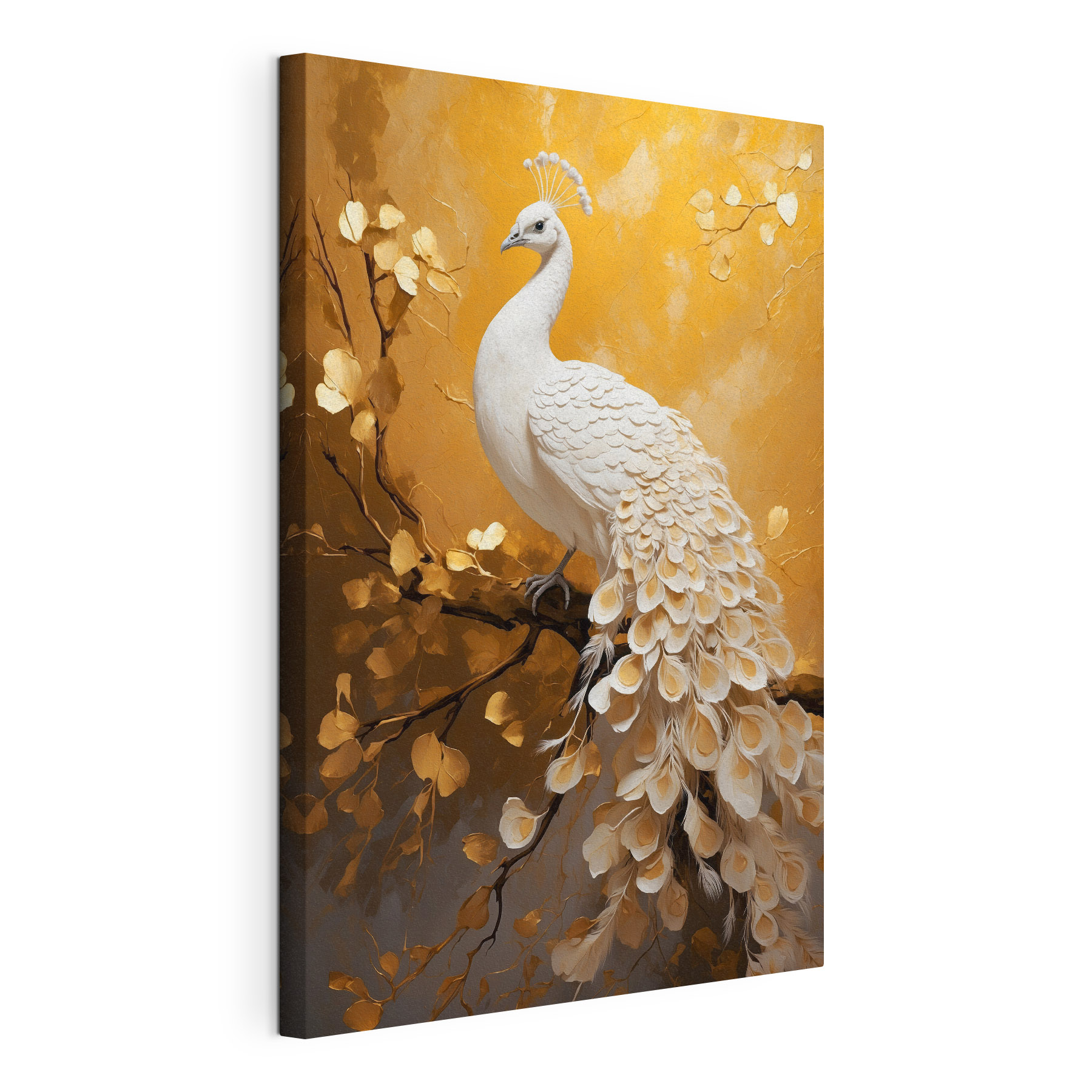 White peacock with feathers on a branch