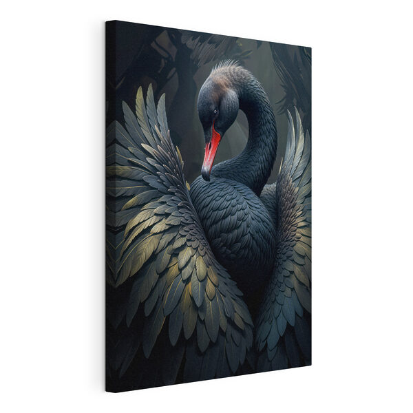 Schwarzer Schwan mit rotem Schnabel Wandbilder Schwarzer Schwan mit rotem Schnabel