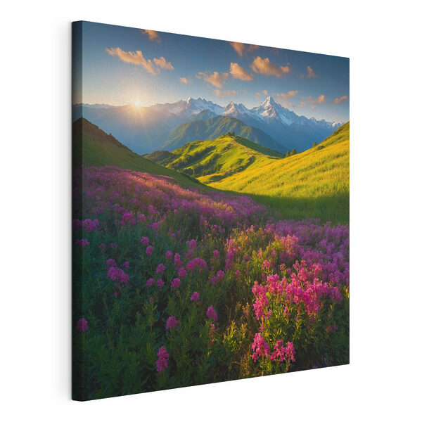 Blumenfeld mit Bergen im Hintergrund Wandbilder Blumenfeld mit Bergen im Hintergrund