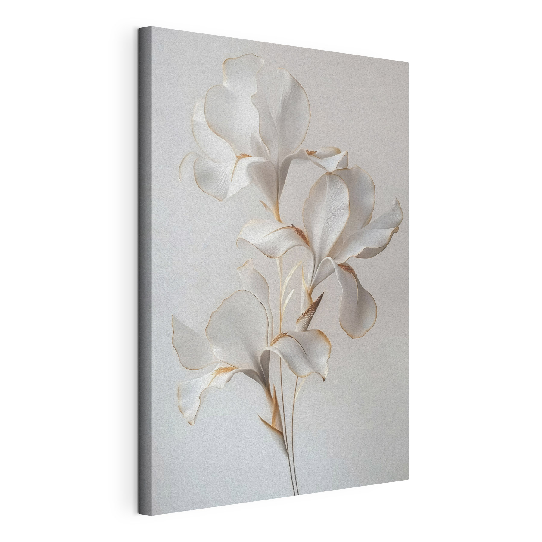 Delicate petals, soft and elegant Delicate petals, soft and elegant