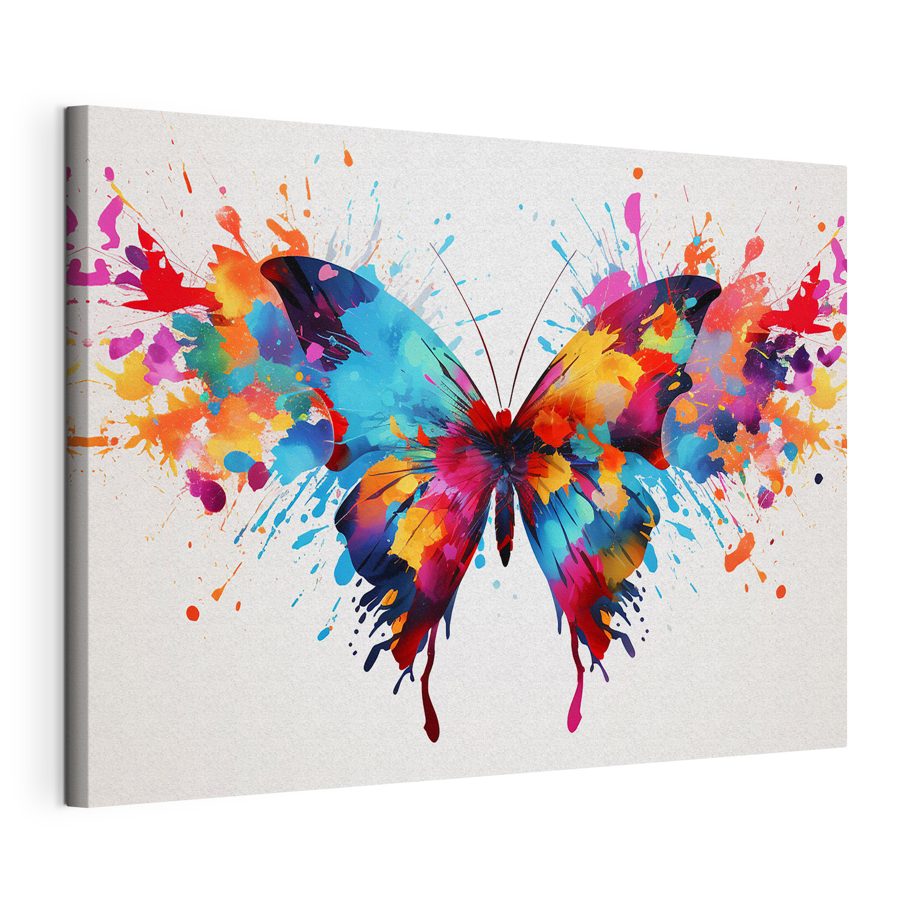 Colorful butterfly with paint splashes