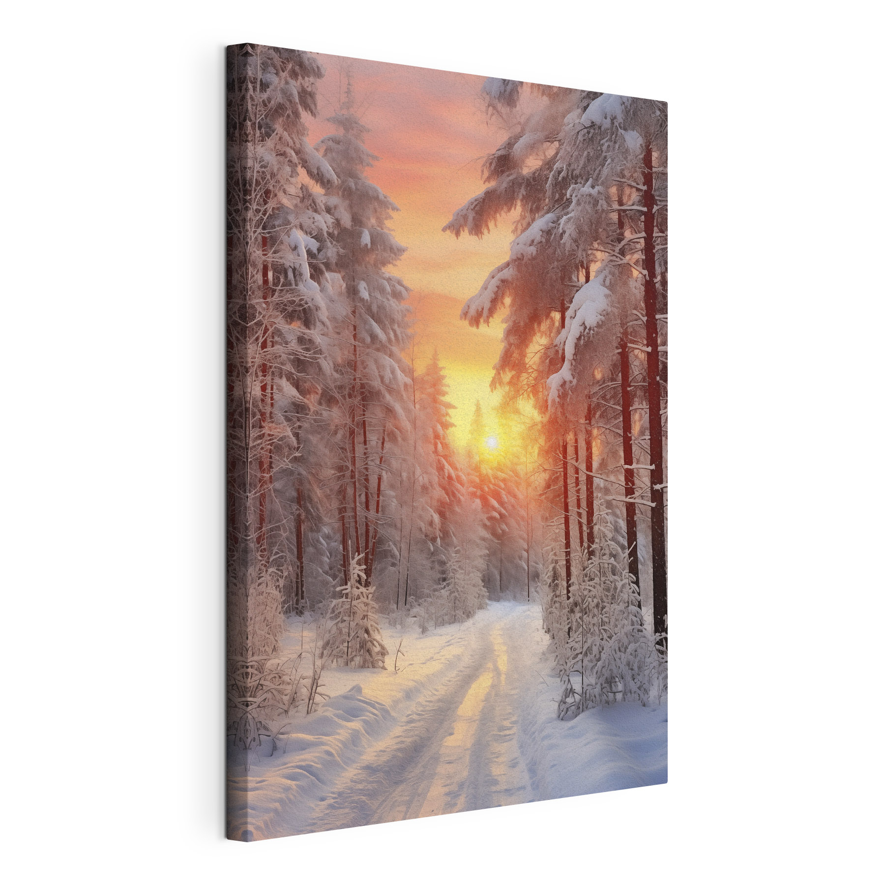 Snow covered road in a forest
