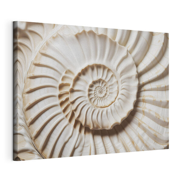 Wandbilder Elegantes, spiralförmiges Muschelmuster, wunderschön dargestellt