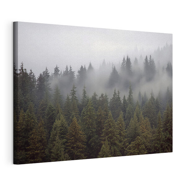 Baumgruppe mit Nebel Wandbilder Baumgruppe mit Nebel