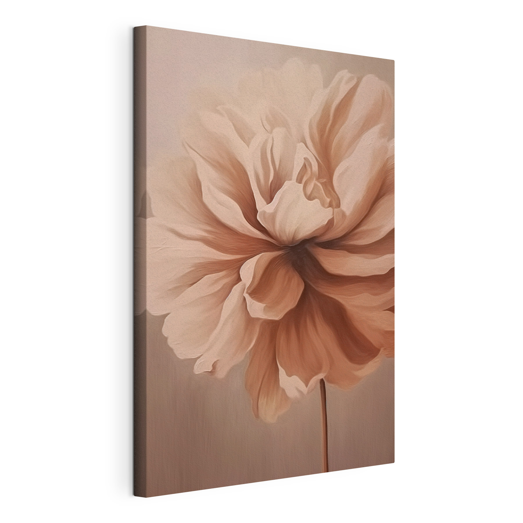 Delicate bloom in soft tones Delicate bloom in soft tones