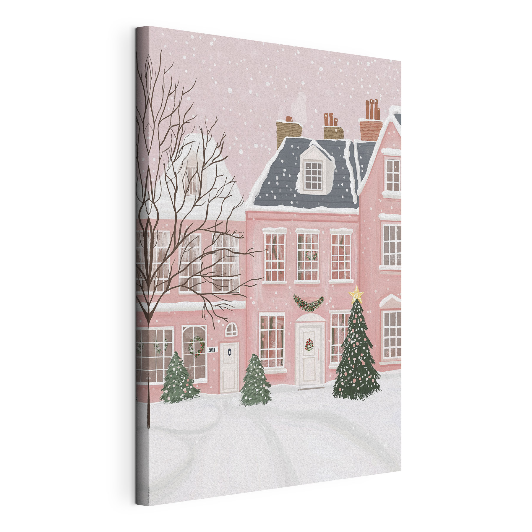 Pink house with trees and snow