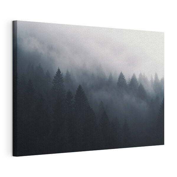 Nebliger Wald mit Bäumen Wandbilder Nebliger Wald mit Bäumen