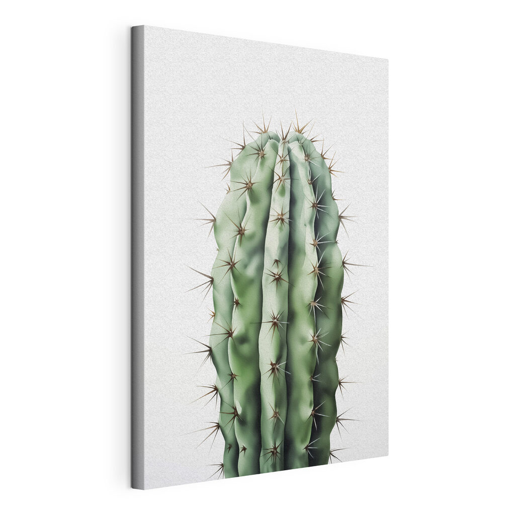 Cactus with thorns on it Cactus with thorns on it