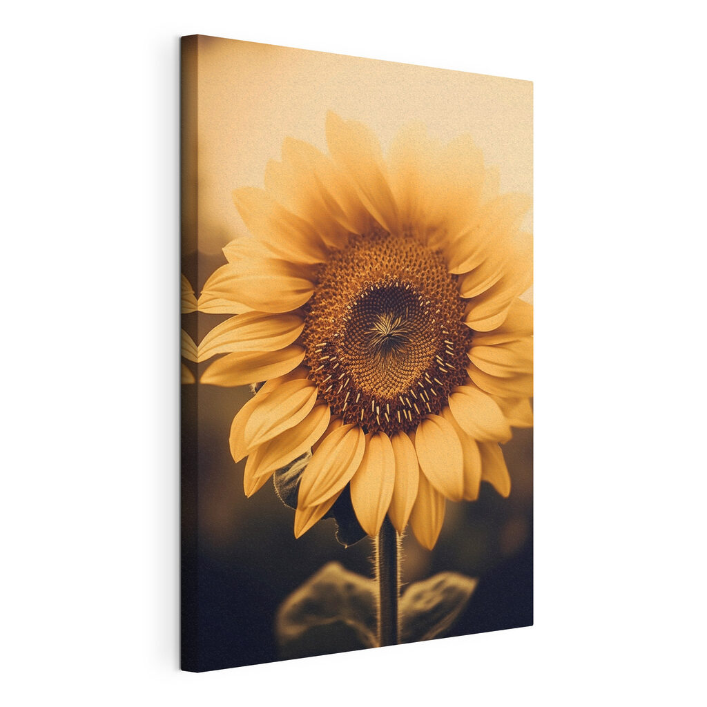 Vibrant petals in soft sunlight