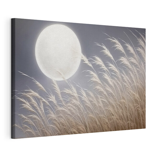 Moon in the sky