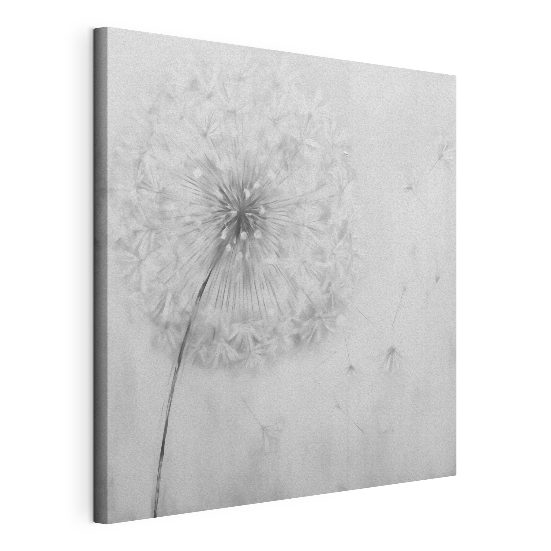 Dandelion flower with seeds flying in the air Dandelion flower with seeds flying in the air