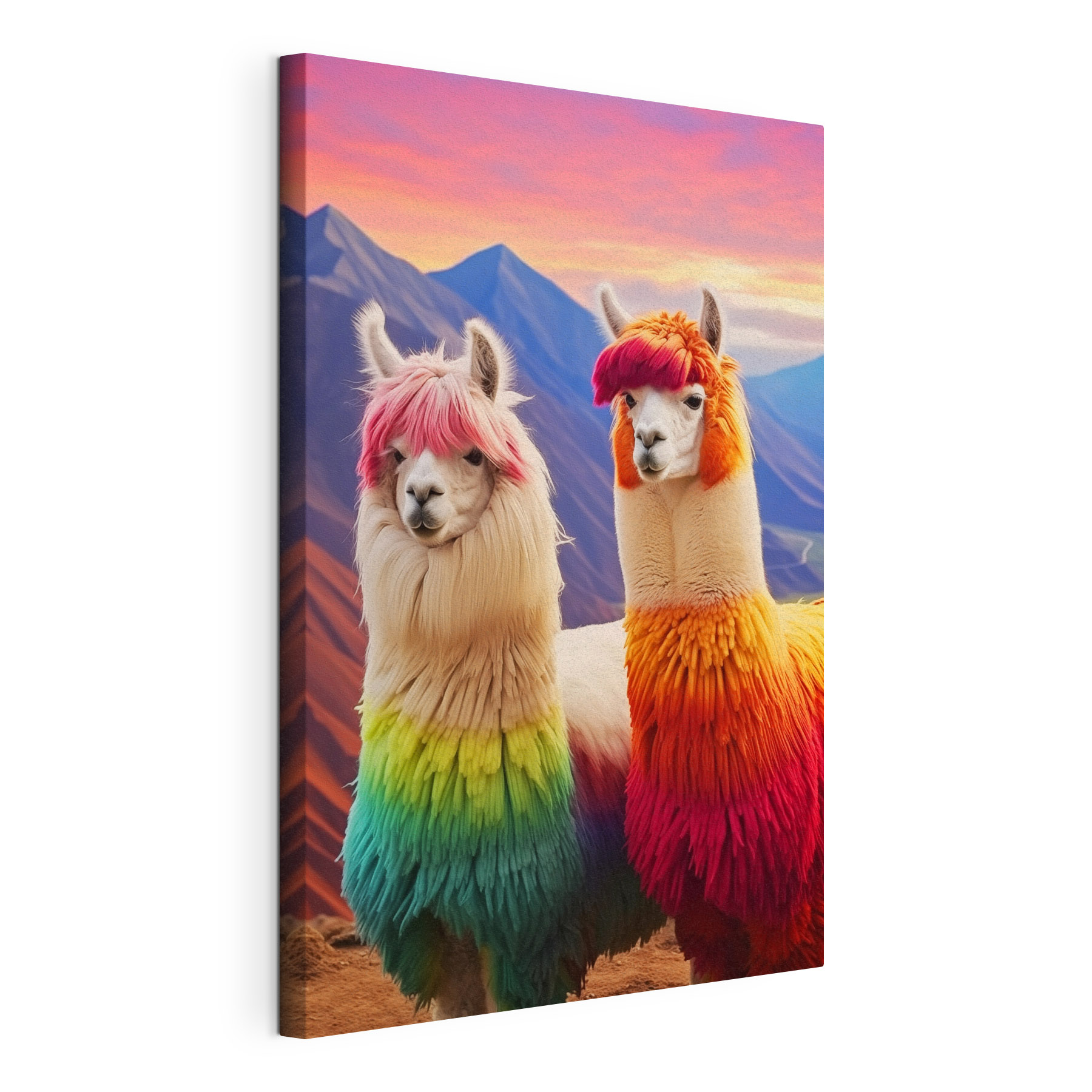 Two llamas with rainbow colored hair
