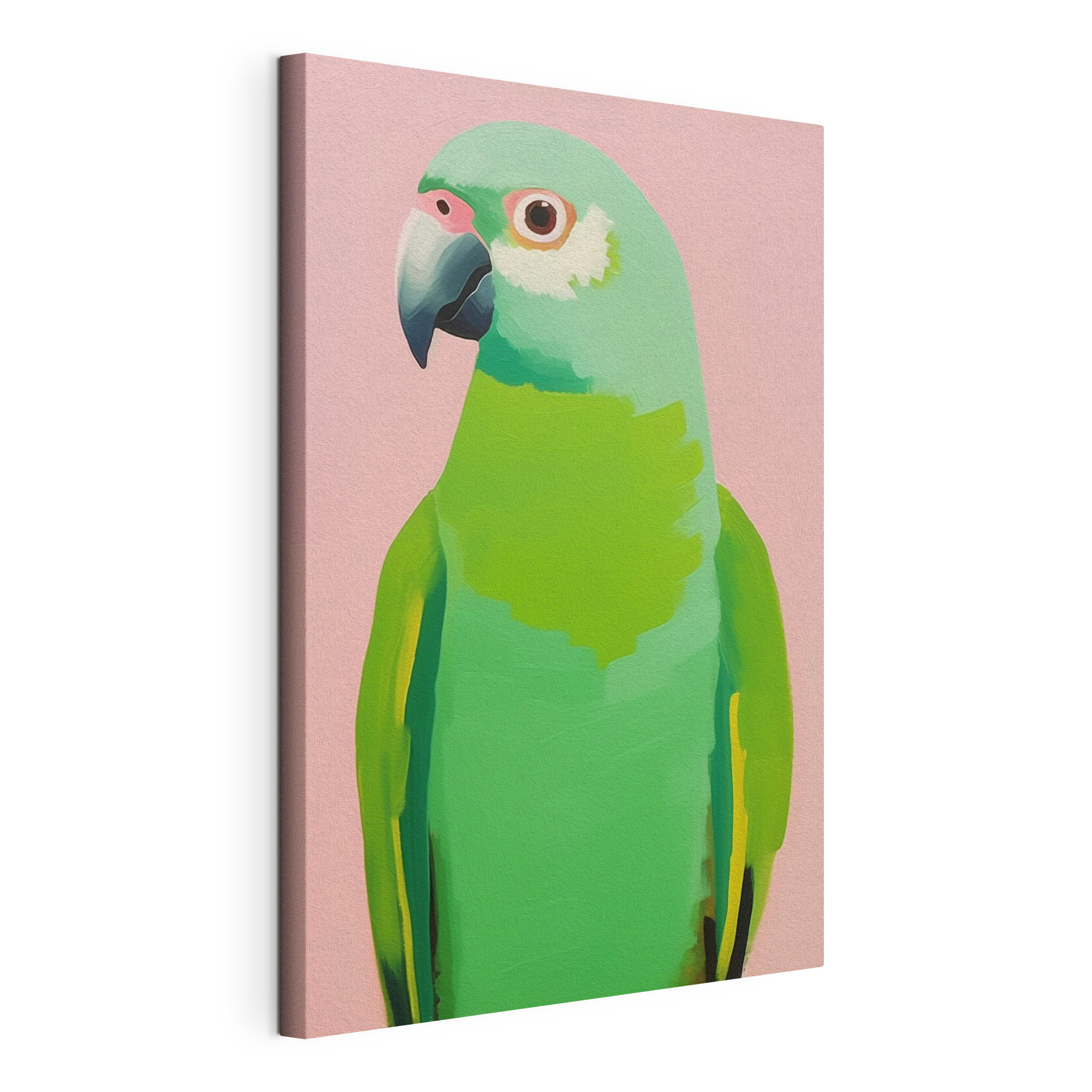 Green parrot with yellow eyes