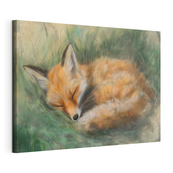 Wandbilder Schlafender Fuchs im Gras (Artikelnummer: s44170) Wandbilder Wandbilder Schlafender Fuchs im Gras (Artikelnummer: s44170)