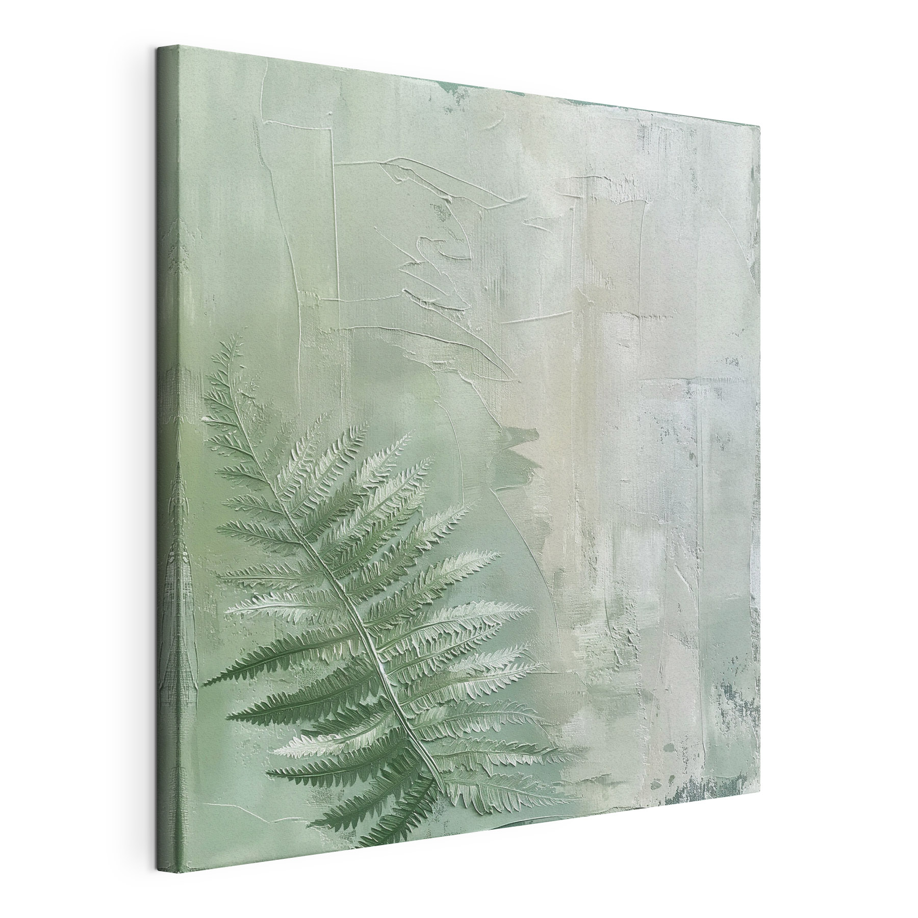 Fern leaf on a glass surface