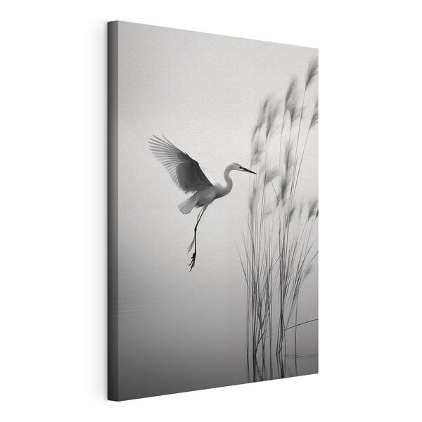 Wandbilder Ein Vogel, der über dem Wasser fliegt (Artikelnummer: s46693) Wandbilder Wandbilder Ein Vogel, der über dem Wasser fliegt (Artikelnummer: s46693)