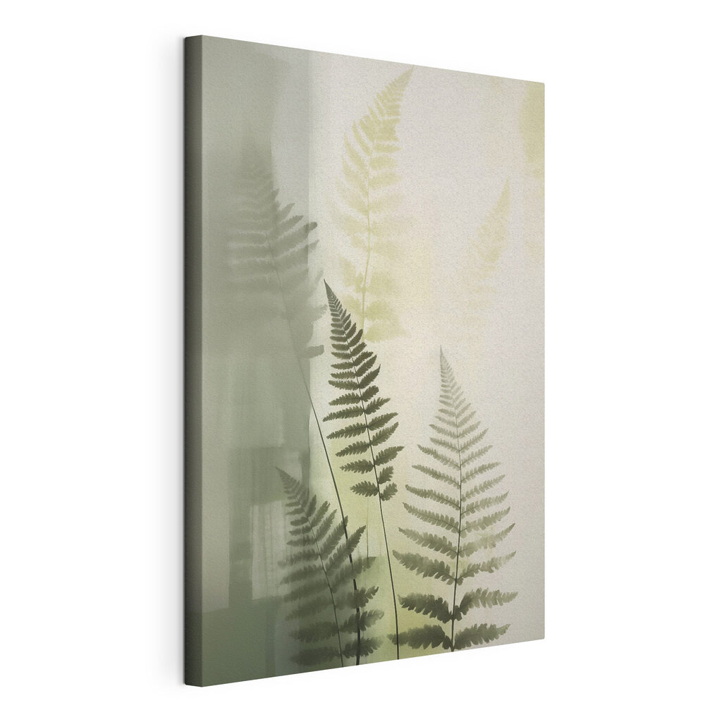 Fern leaves on a white background