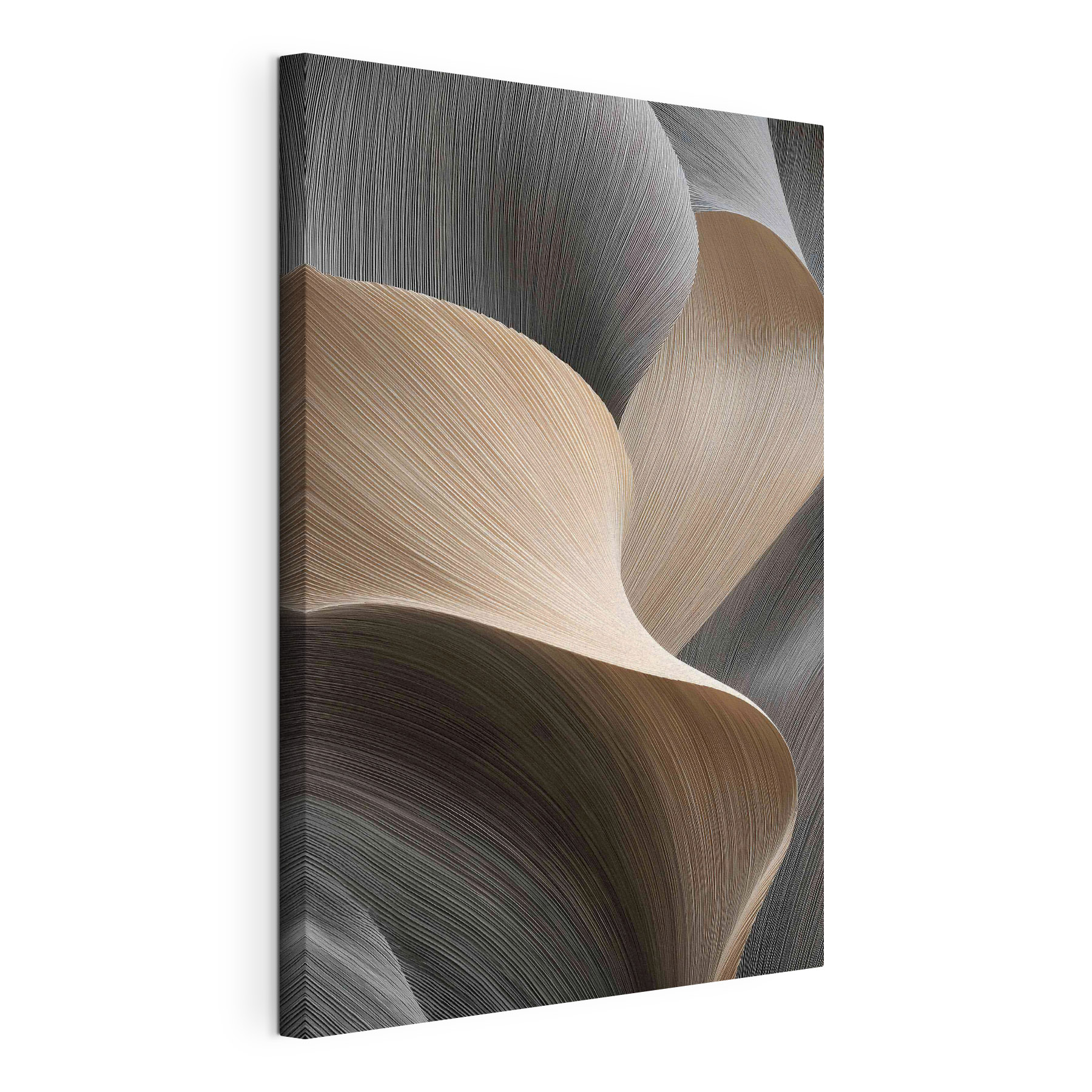 Flowing lines create subtle elegance
