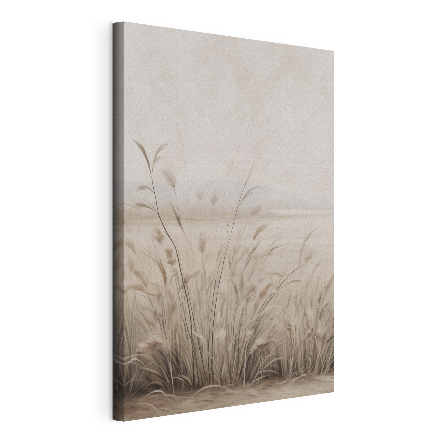 Field of grass with a foggy sky