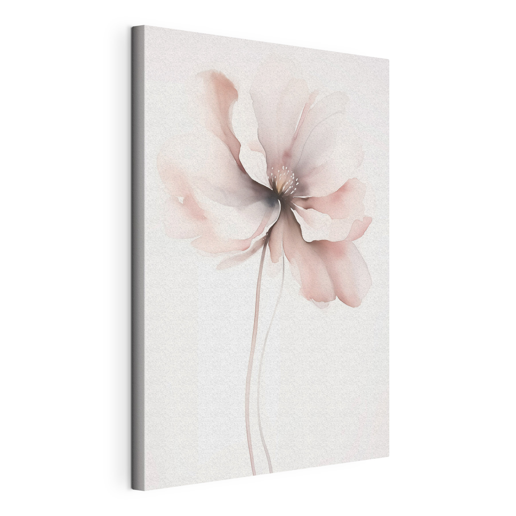 Delicate bloom in soft hues