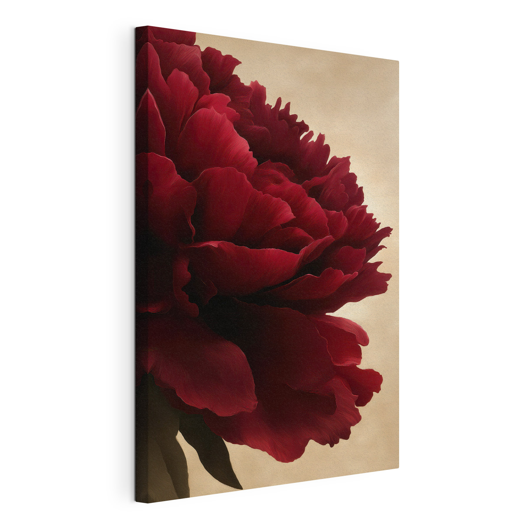 Vibrant red flower in full bloom Vibrant red flower in full bloom