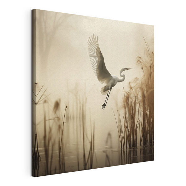 Wandbilder Wandbilder Ein Vogel, der über dem Wasser fliegt (Artikelnummer: s48389)