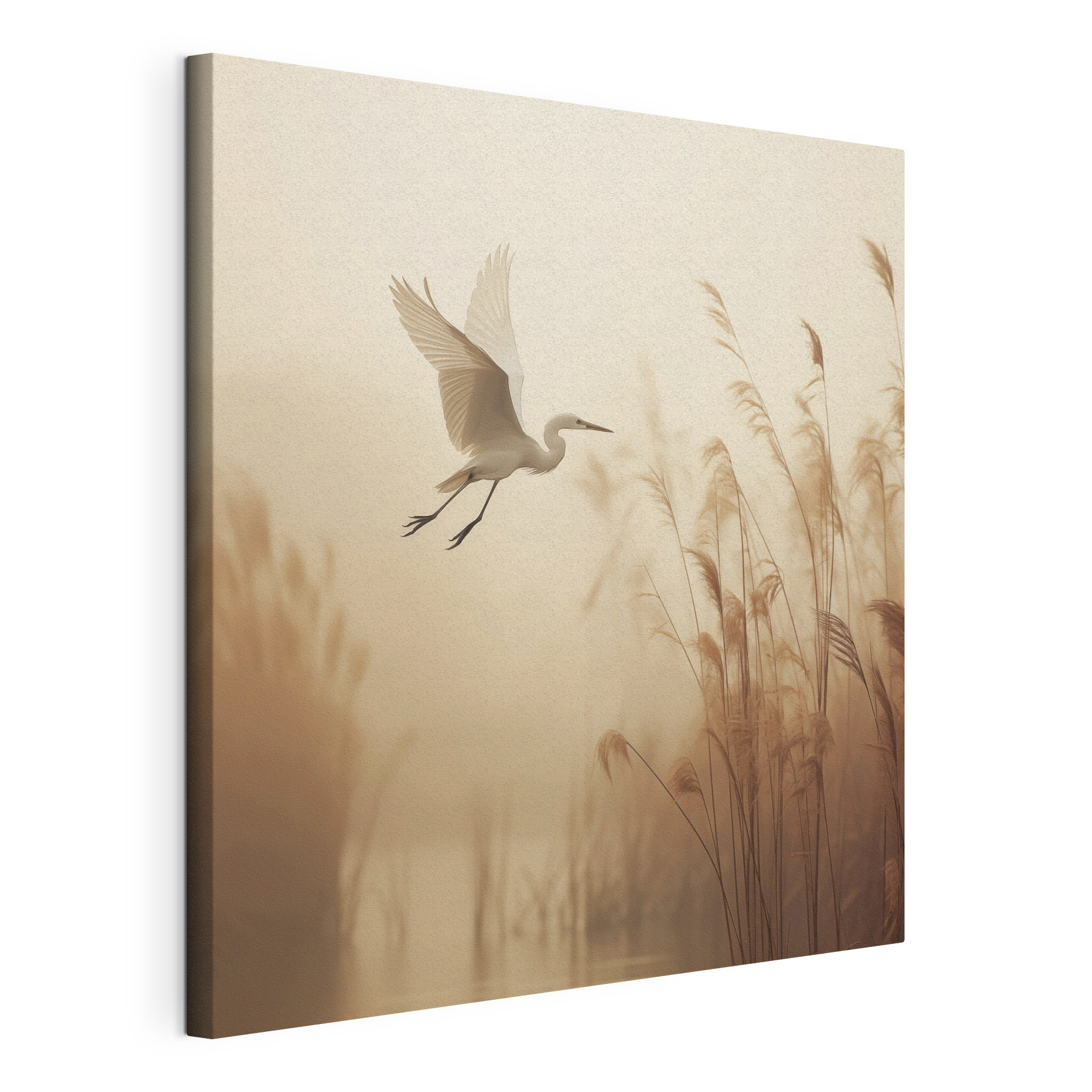 Bird flying over water