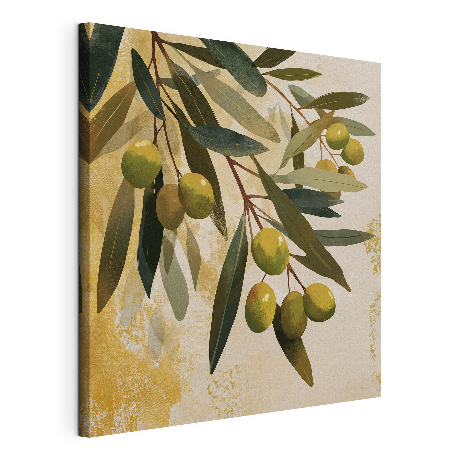 Green olives on a branch Green olives on a branch