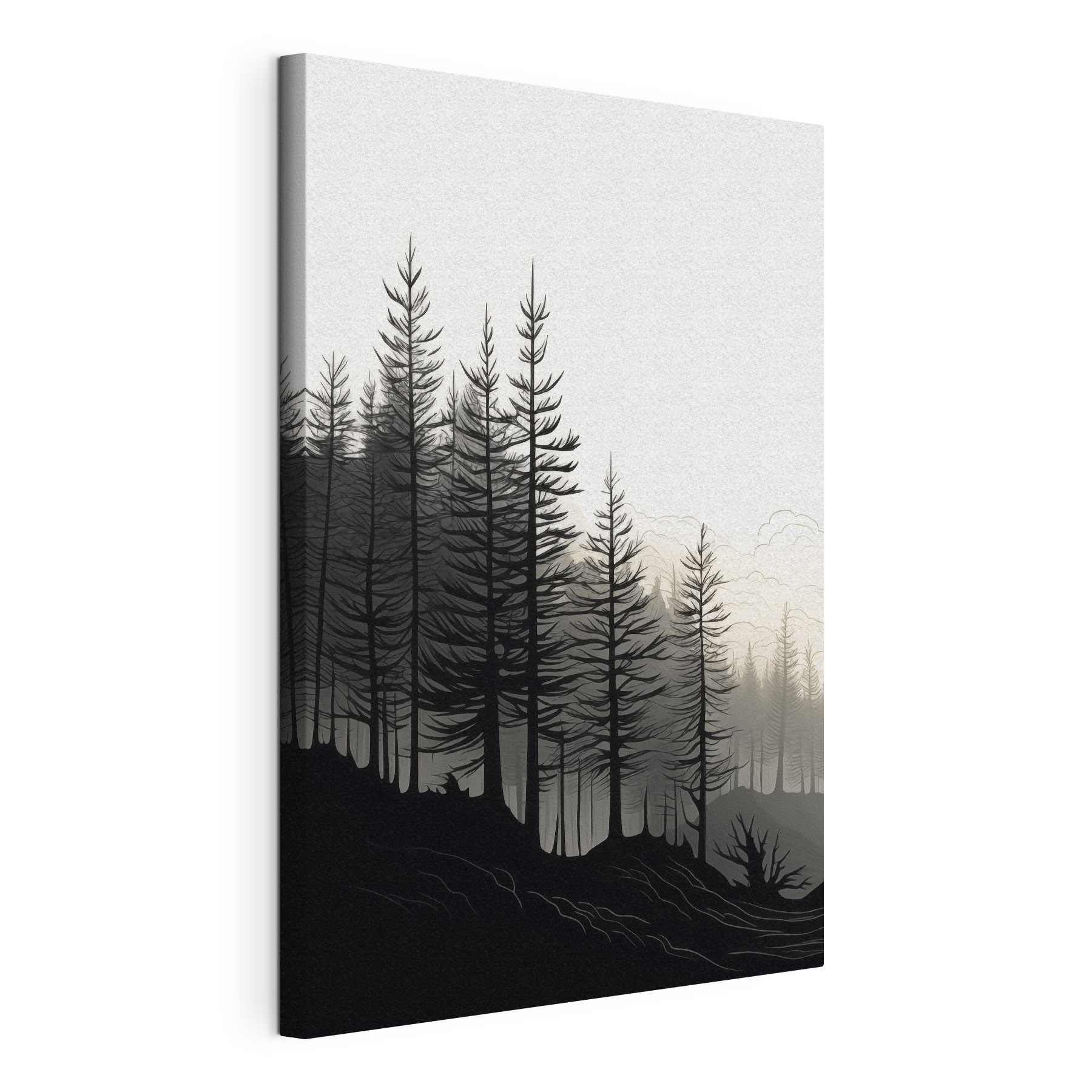 Forest with trees in the background