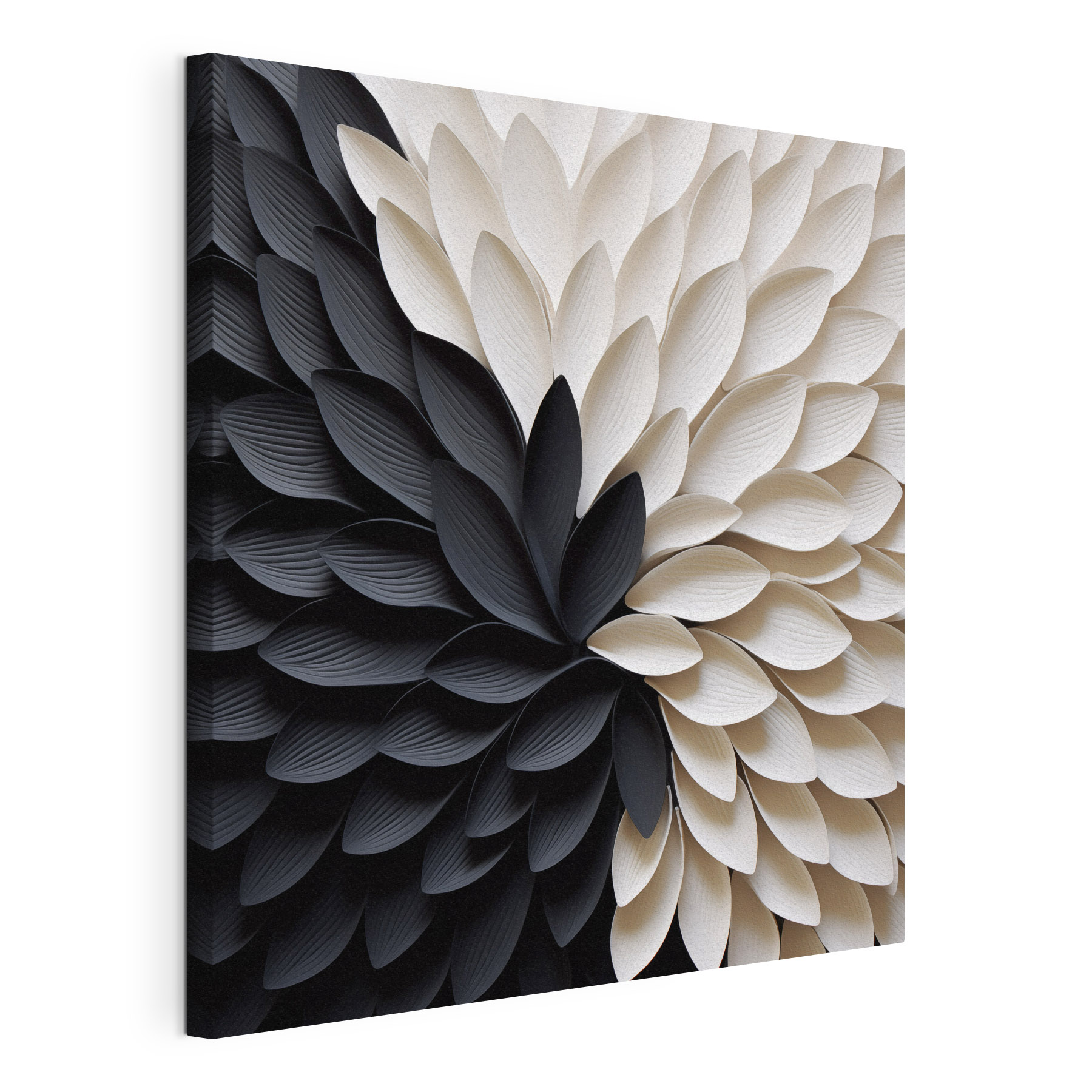 Black and white flower