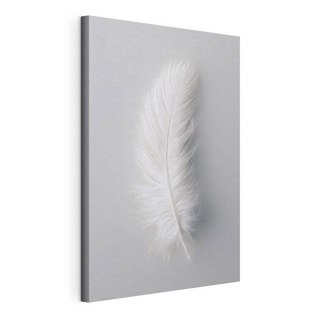 White feather on a white background White feather on a white background