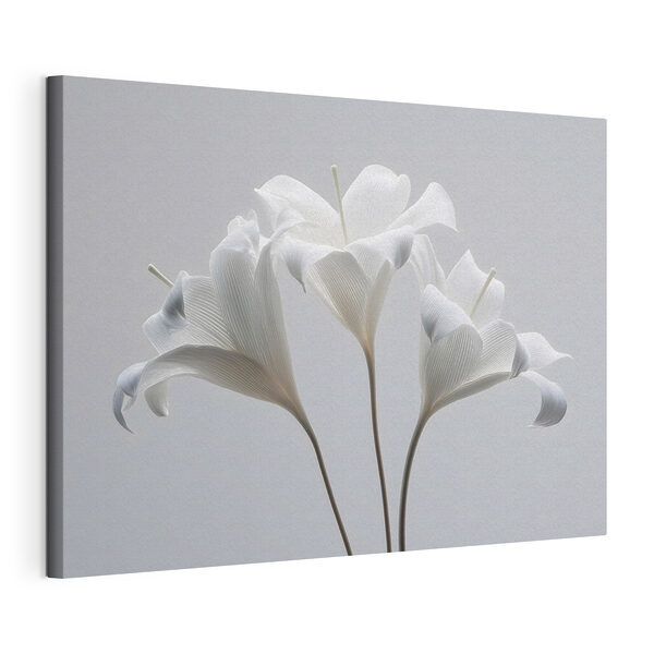 Wandbilder Wandbilder Gruppe weißer Blumen (Artikelnummer: s48795)