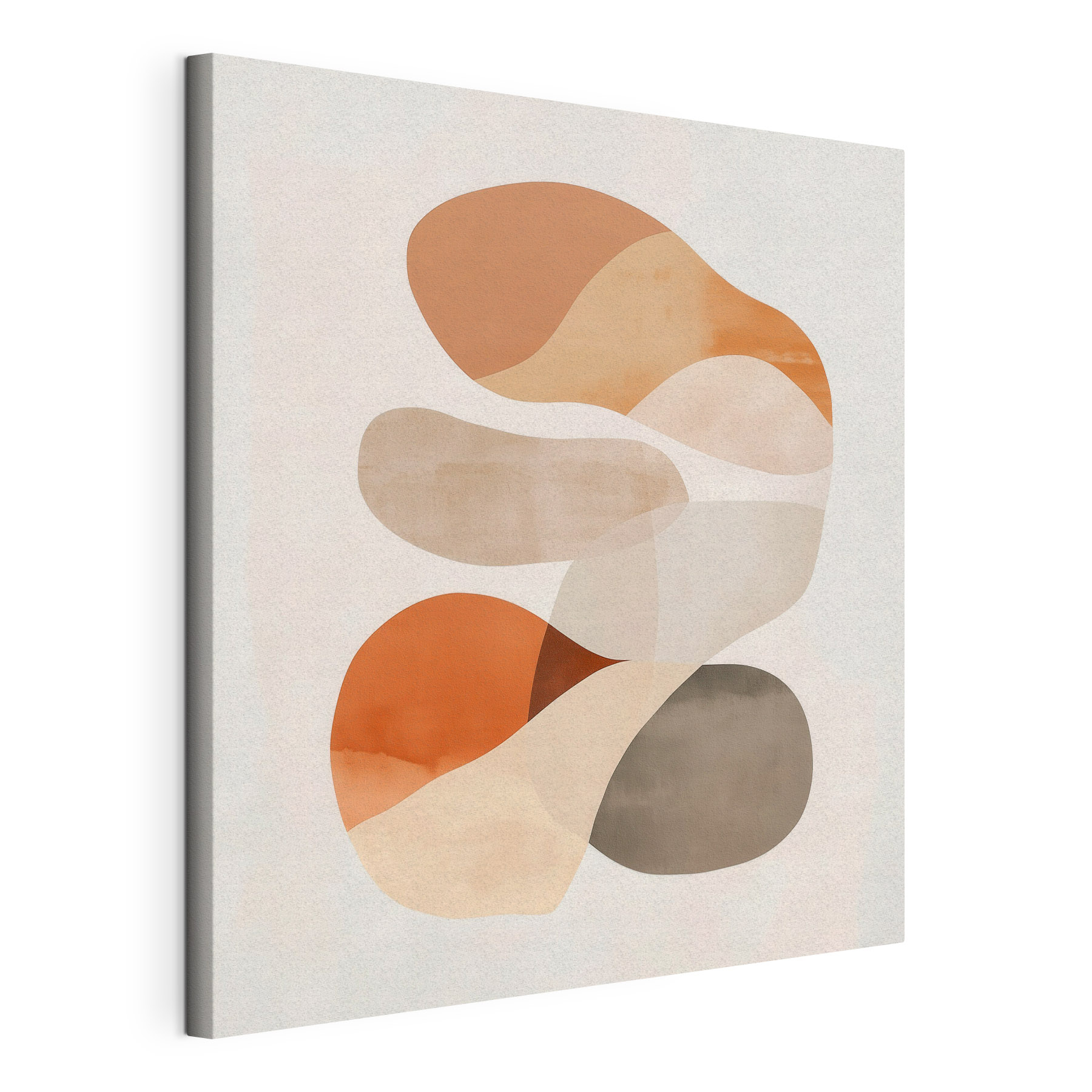 Group of brown and white shapes Group of brown and white shapes