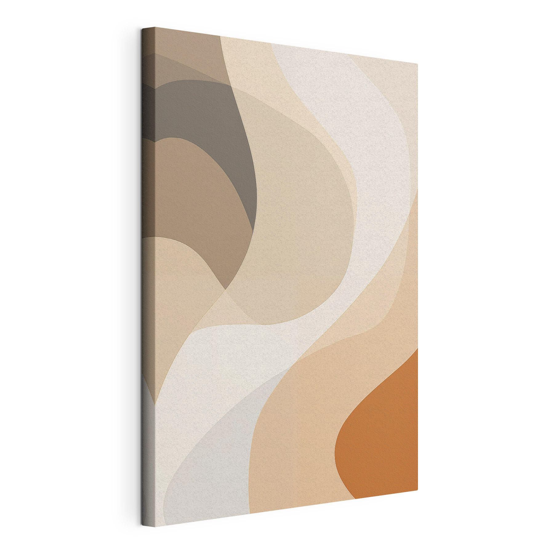 Soft curves in neutral tones Soft curves in neutral tones