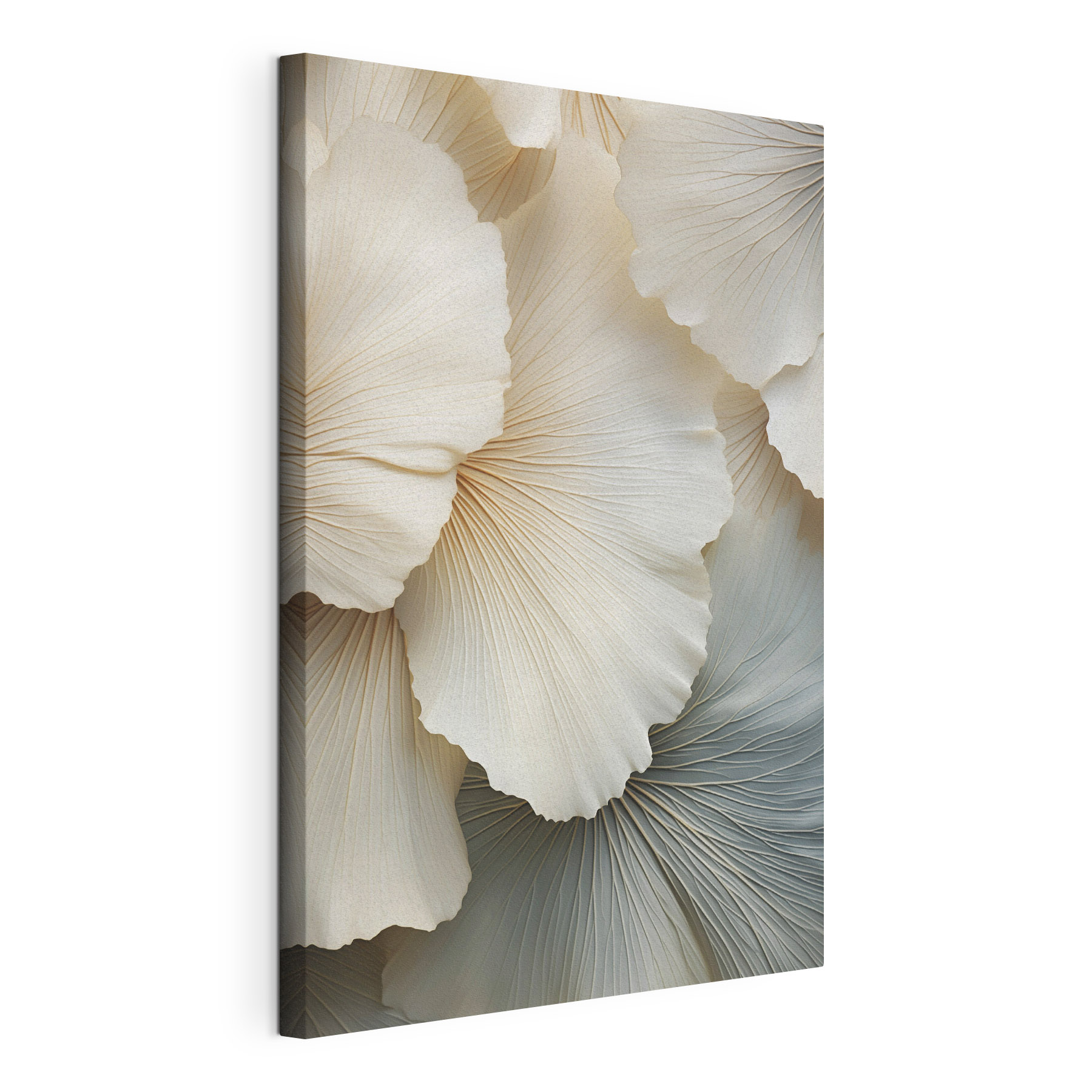 Delicate layers of soft petal forms Delicate layers of soft petal forms
