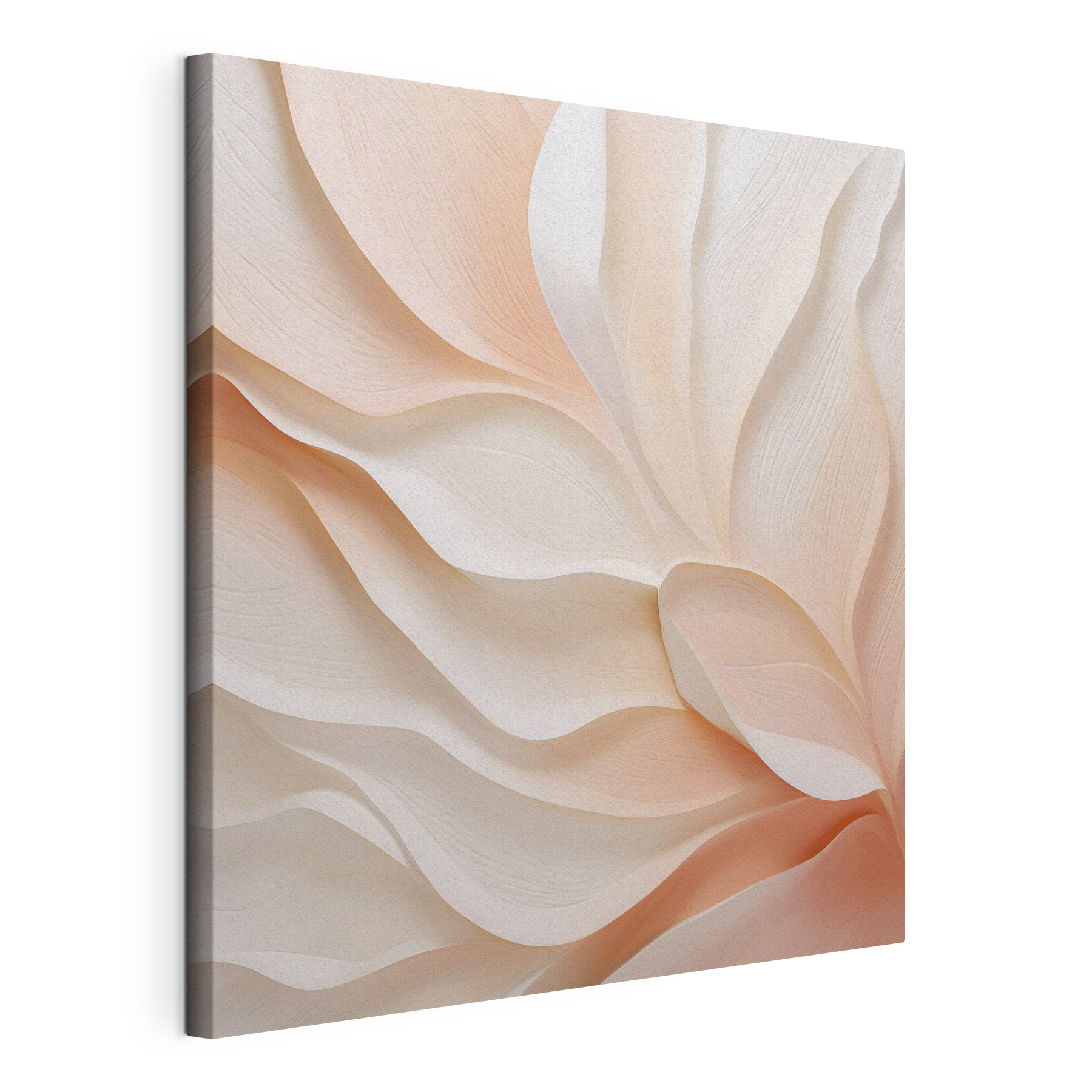 Soft curves in delicate shades Soft curves in delicate shades