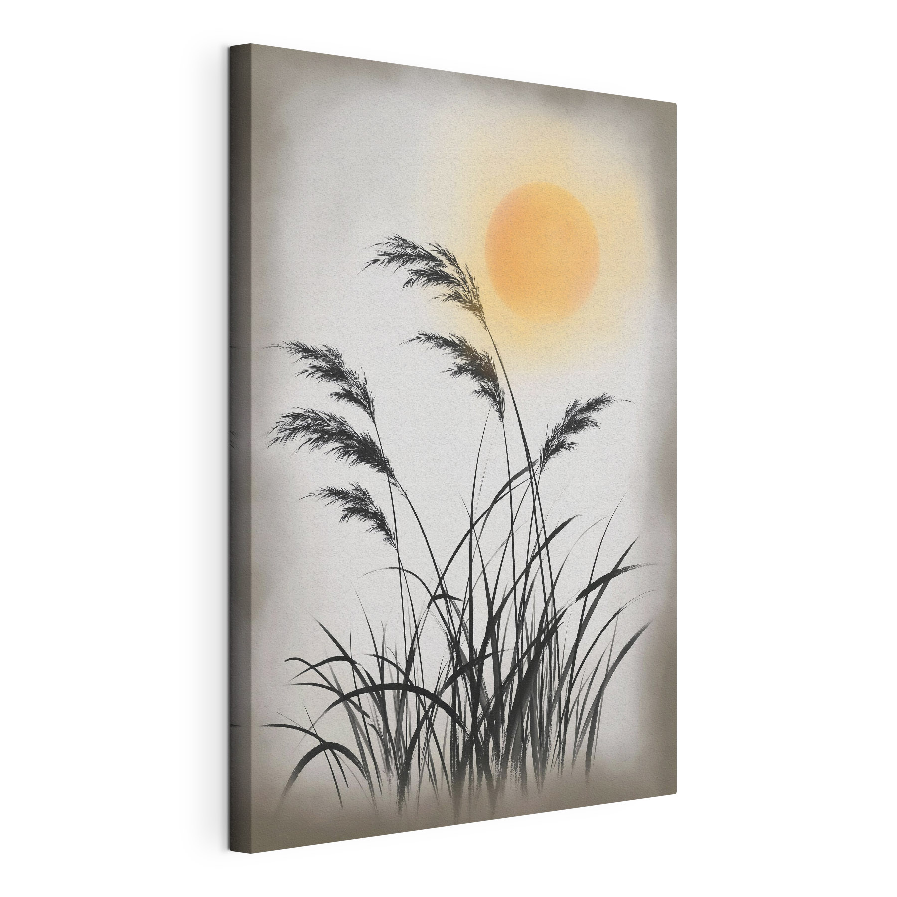Silhouette of grass and the sun Silhouette of grass and the sun