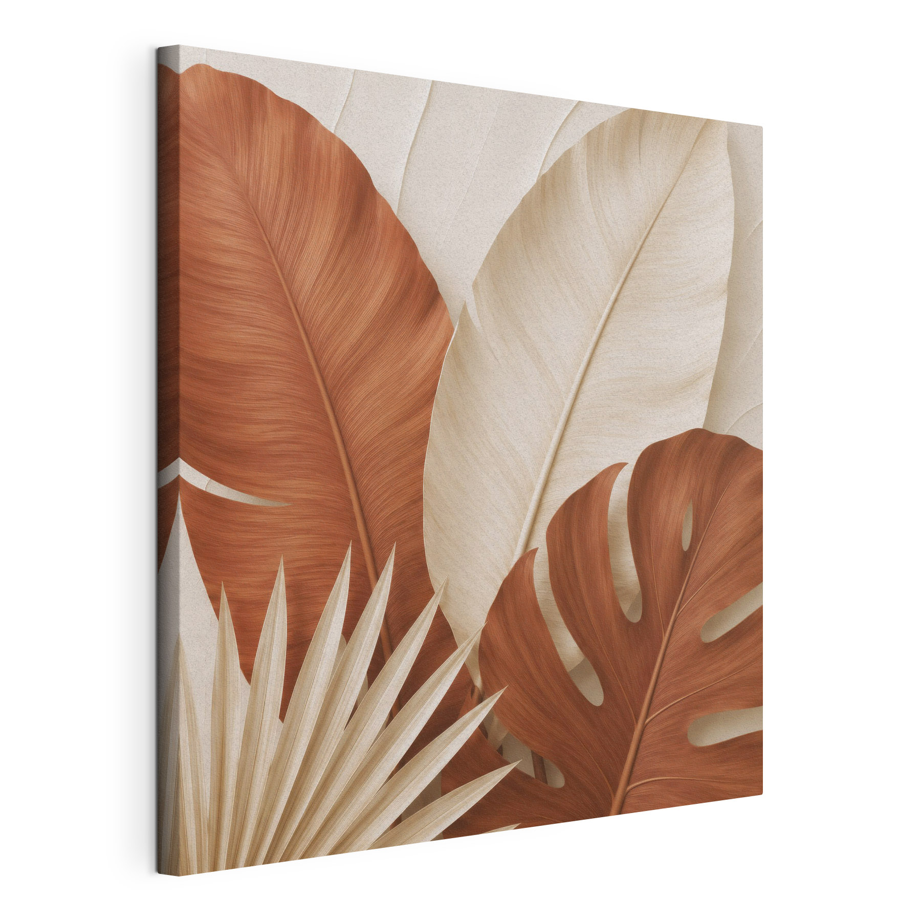 Group of brown and white leaves Group of brown and white leaves