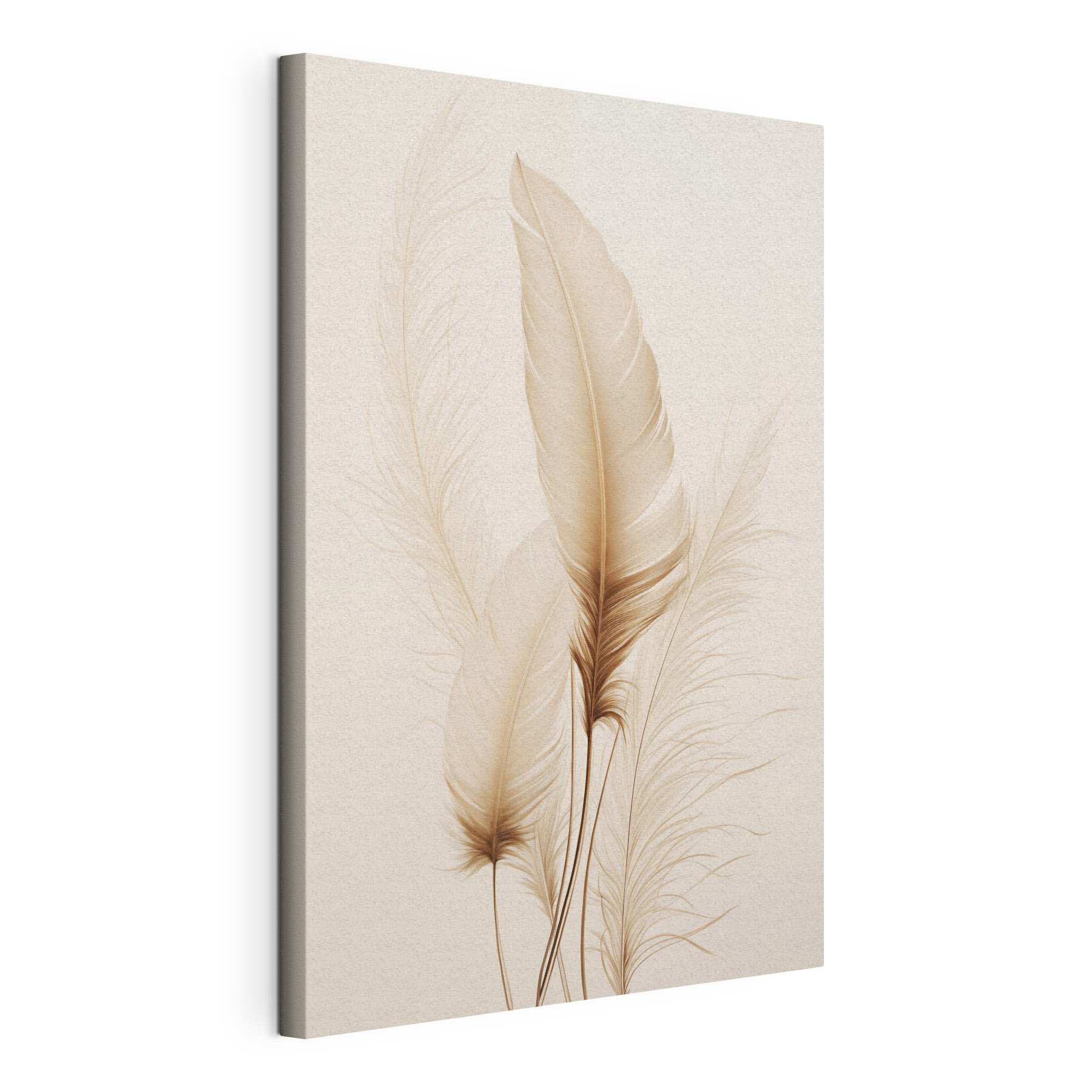 Delicate feathers against soft backdrop Delicate feathers against soft backdrop