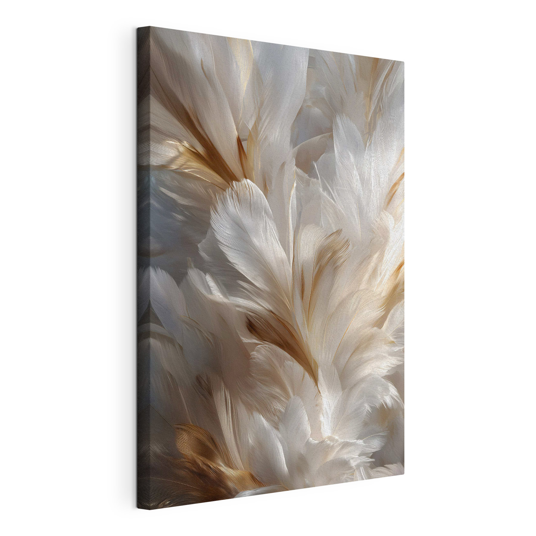 Delicate feathers in gentle hues Delicate feathers in gentle hues